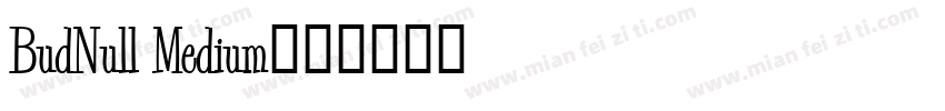 BudNull Medium字体转换